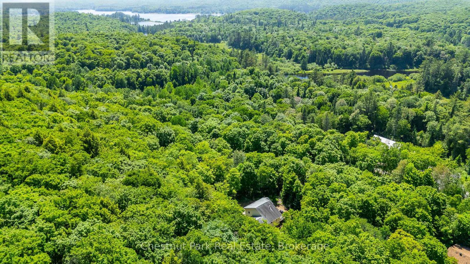 1101 Harris Road, Algonquin Highlands, Ontario  P0A 1H0 - Photo 43 - X12246272