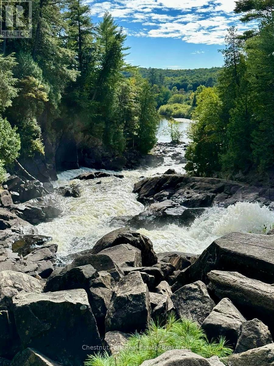 1101 Harris Road, Algonquin Highlands, Ontario  P0A 1H0 - Photo 47 - X12246272