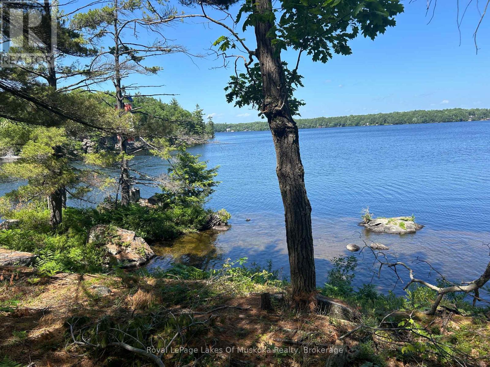 Lot 1 Bala Park, Muskoka Lakes, Ontario  P0B 1J0 - Photo 1 - X12246569