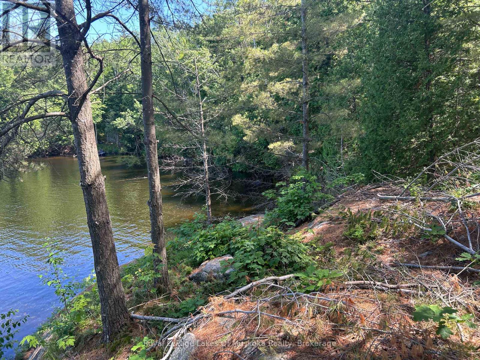 Lot 1 Bala Park, Muskoka Lakes, Ontario  P0B 1J0 - Photo 10 - X12246569