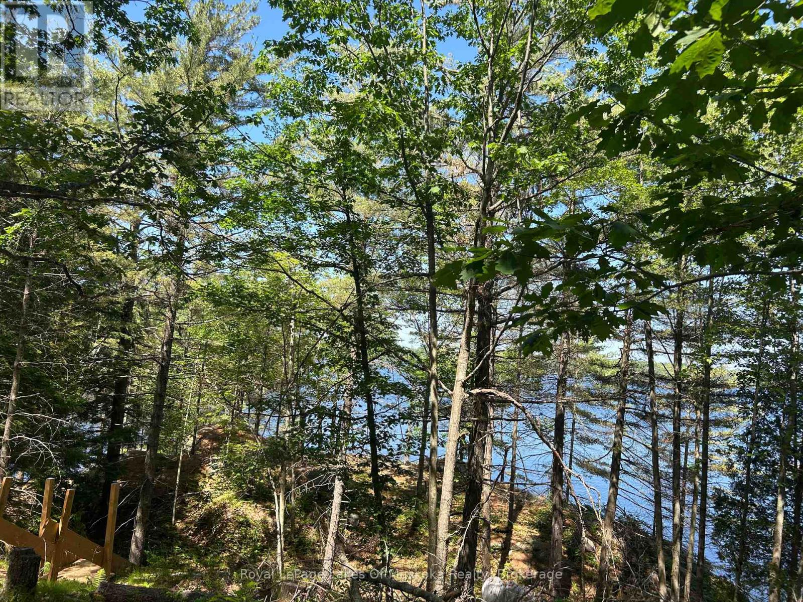Lot 1 Bala Park, Muskoka Lakes, Ontario  P0B 1J0 - Photo 13 - X12246569