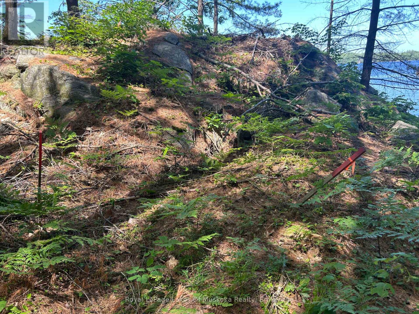 Lot 1 Bala Park, Muskoka Lakes, Ontario  P0B 1J0 - Photo 20 - X12246569