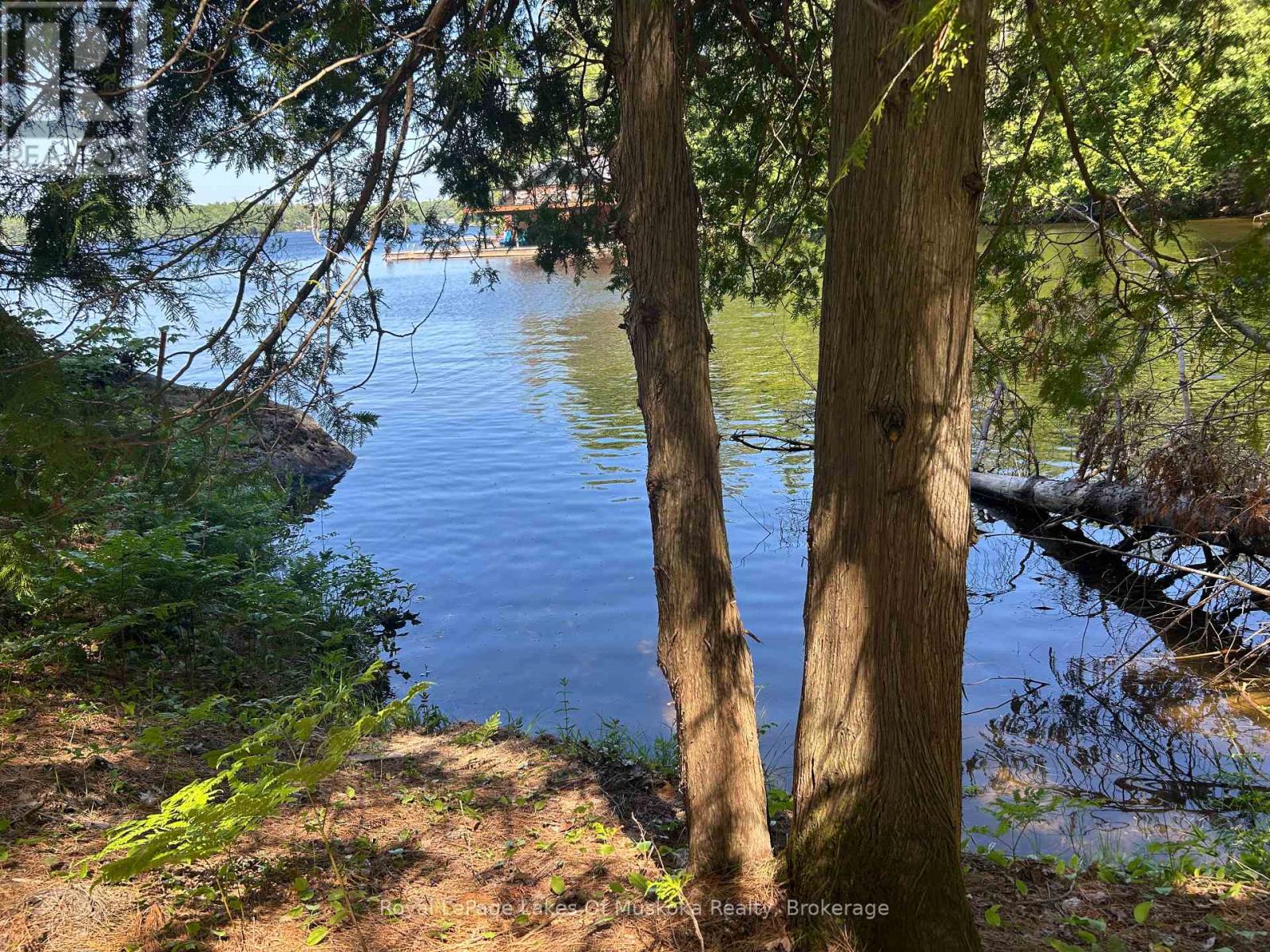 Lot 1 Bala Park, Muskoka Lakes, Ontario  P0B 1J0 - Photo 22 - X12246569