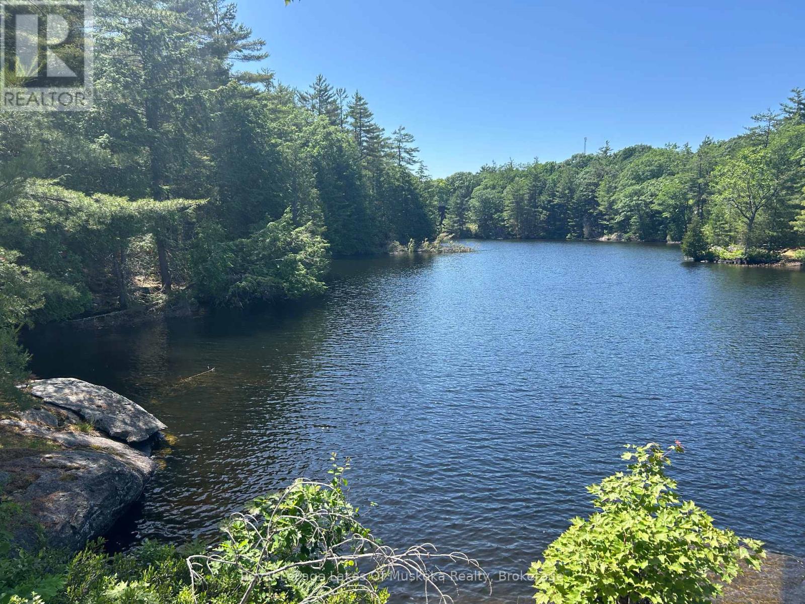 Lot 1 Bala Park, Muskoka Lakes, Ontario  P0B 1J0 - Photo 7 - X12246569