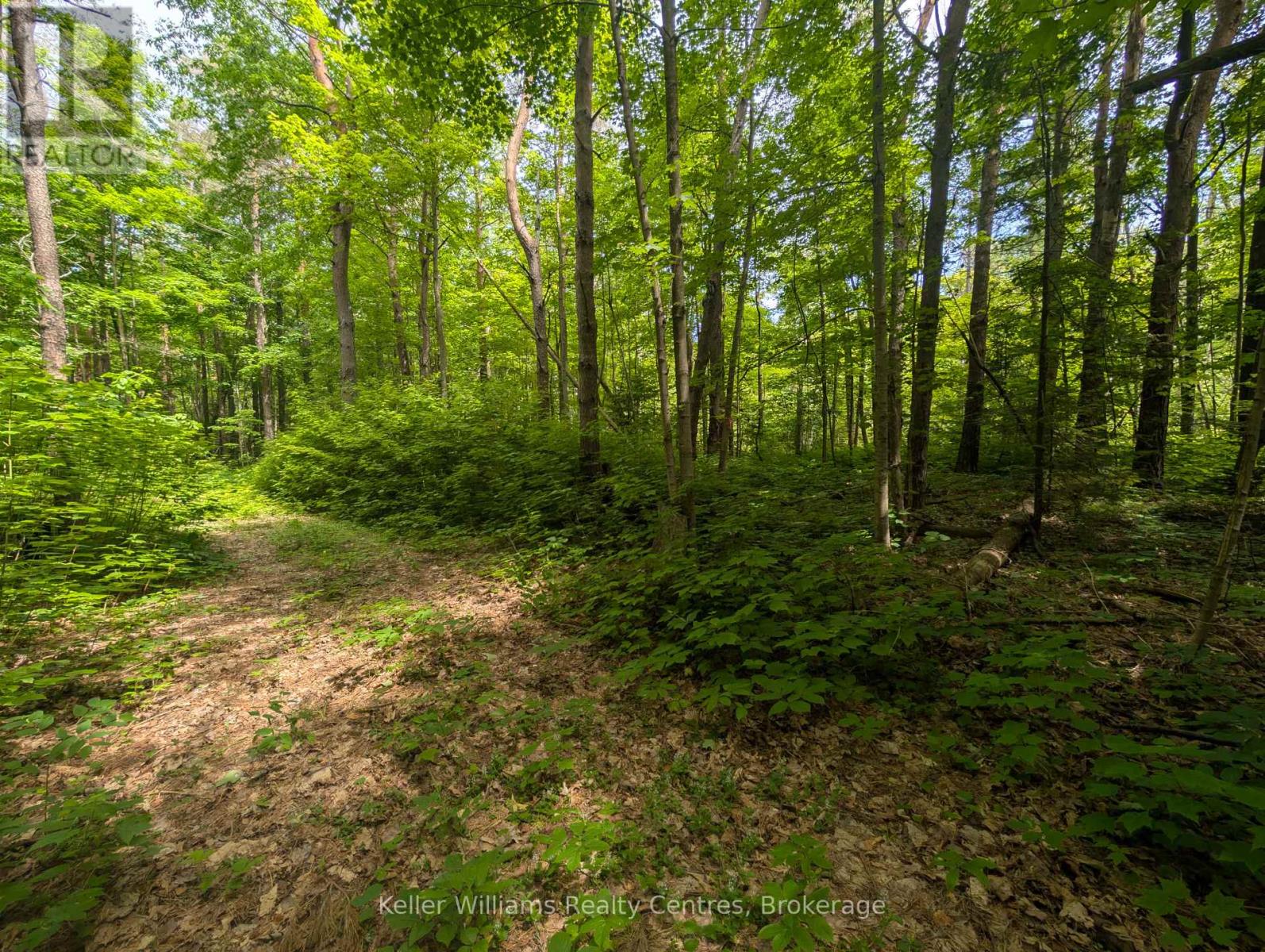590-608 Huron Road, South Bruce Peninsula, Ontario  N0H 2T0 - Photo 14 - X12247786