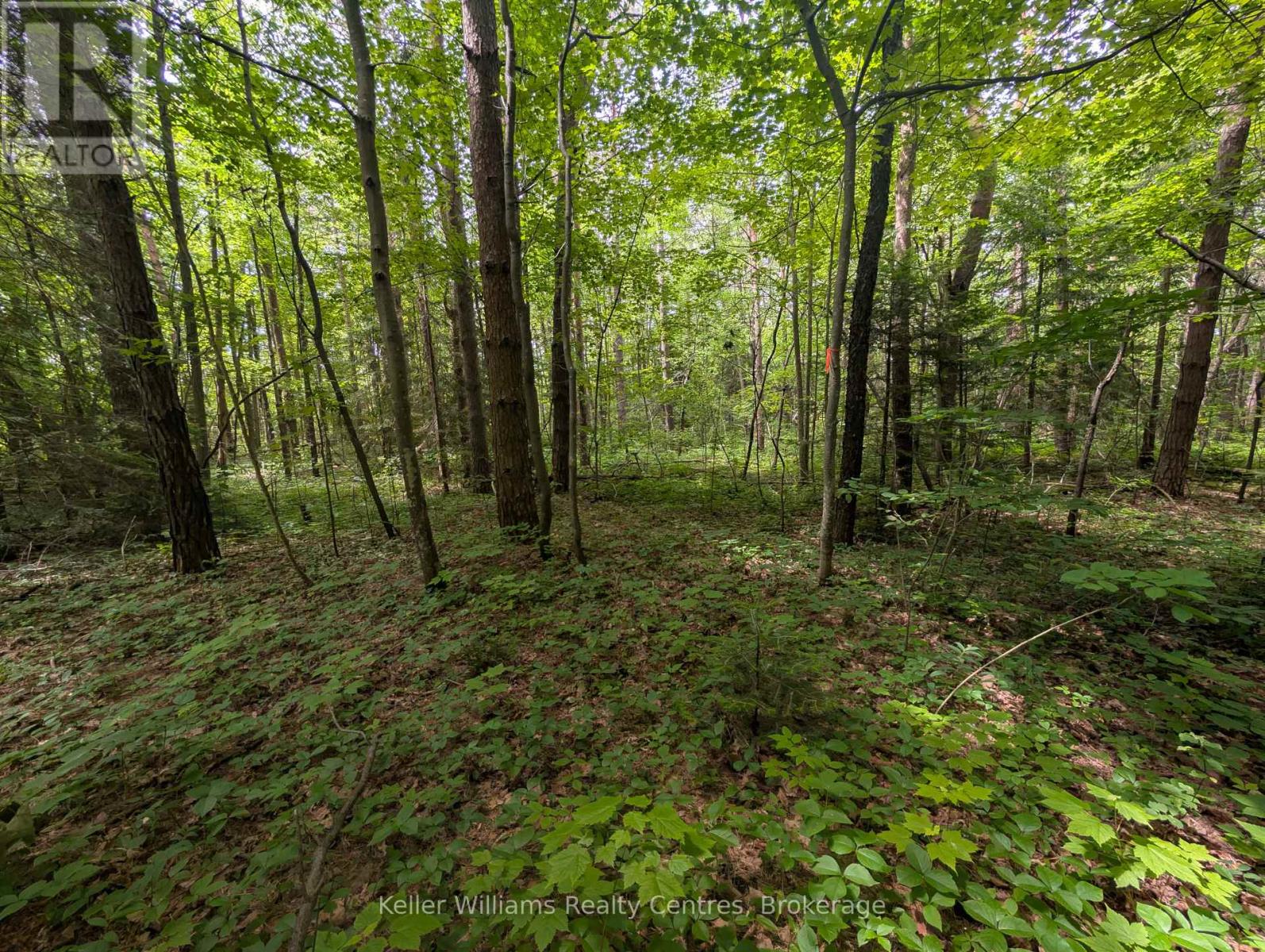 590-608 Huron Road, South Bruce Peninsula, Ontario  N0H 2T0 - Photo 16 - X12247786