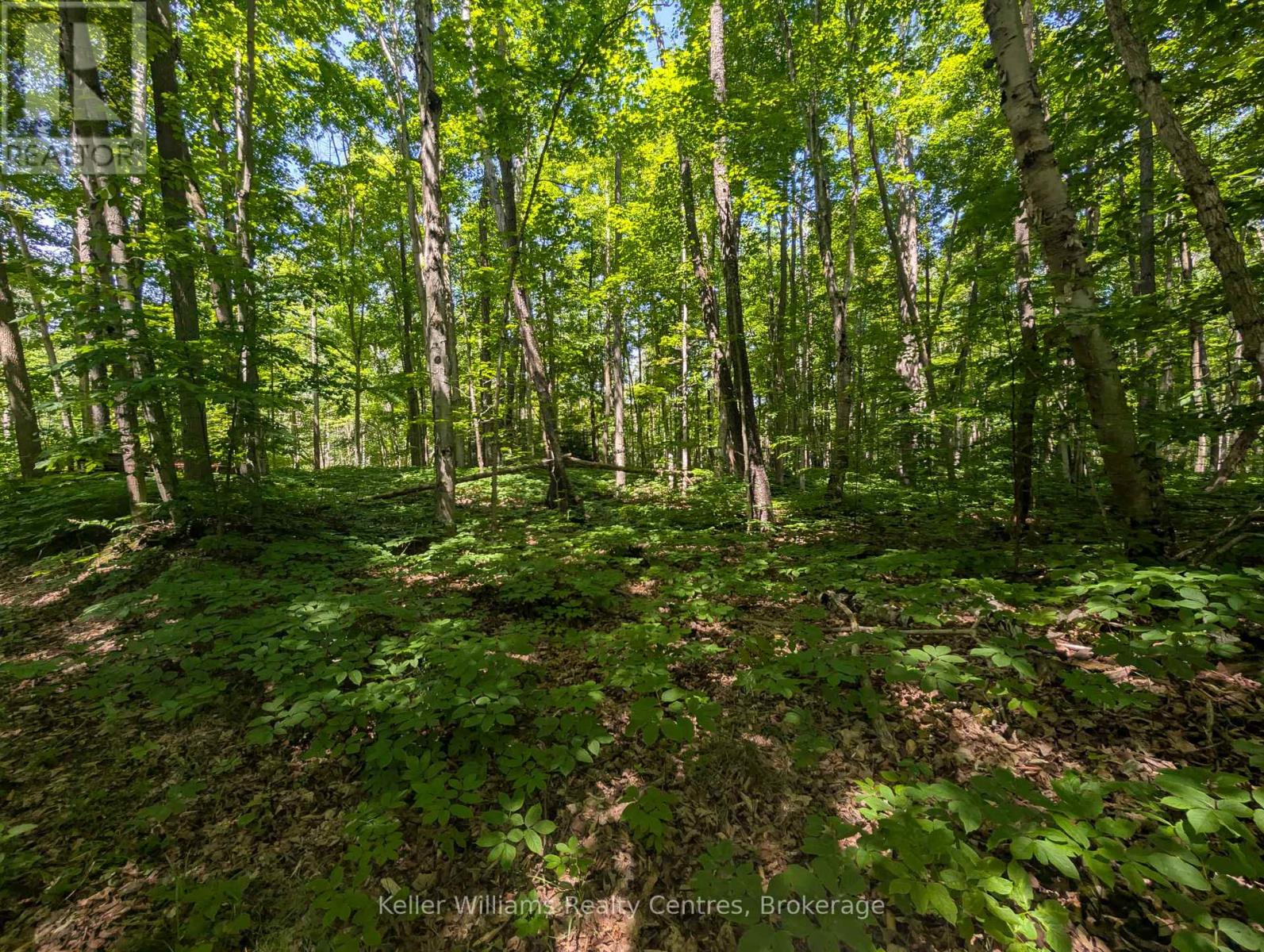 590-608 Huron Road, South Bruce Peninsula, Ontario  N0H 2T0 - Photo 17 - X12247786