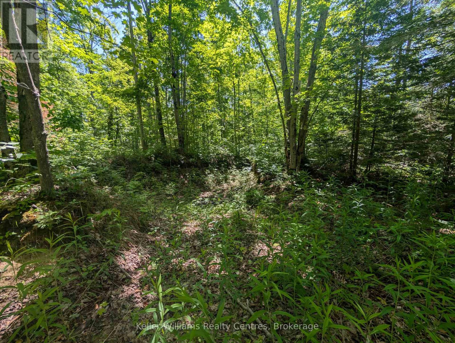 590-608 Huron Road, South Bruce Peninsula, Ontario  N0H 2T0 - Photo 18 - X12247786