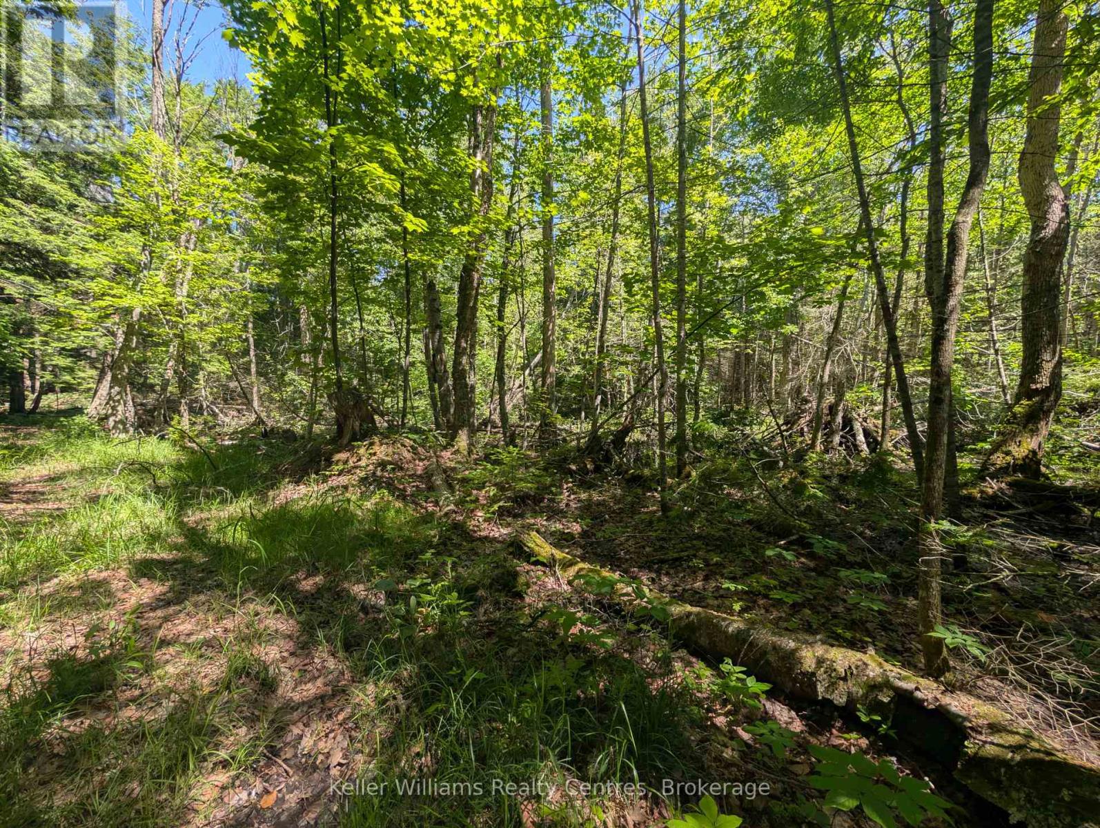 590-608 Huron Road, South Bruce Peninsula, Ontario  N0H 2T0 - Photo 20 - X12247786