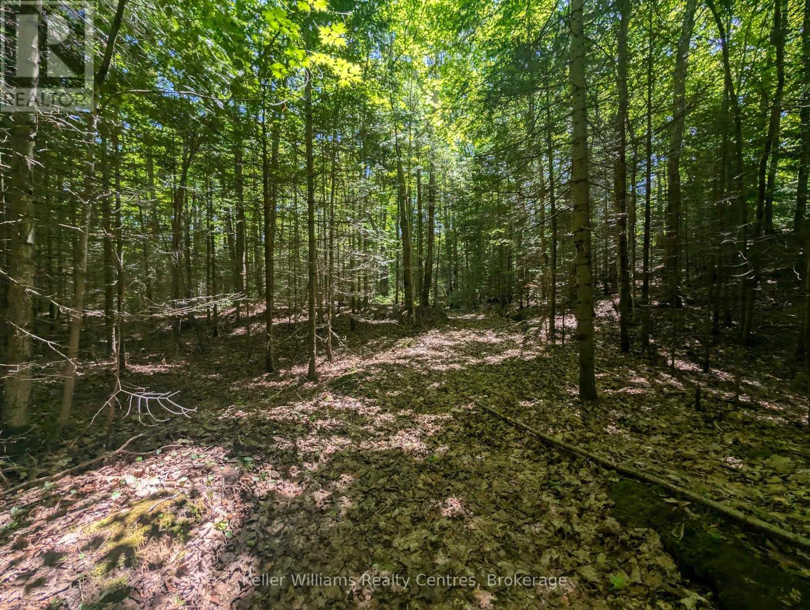 590-608 Huron Road, South Bruce Peninsula, Ontario  N0H 2T0 - Photo 21 - X12247786