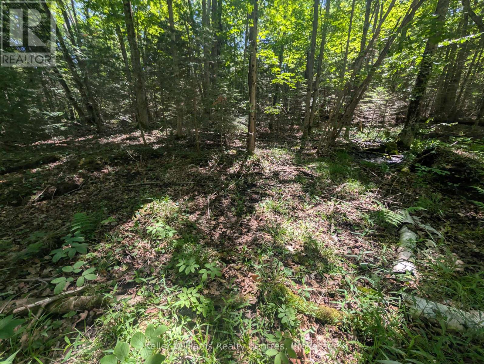 590-608 Huron Road, South Bruce Peninsula, Ontario  N0H 2T0 - Photo 26 - X12247786