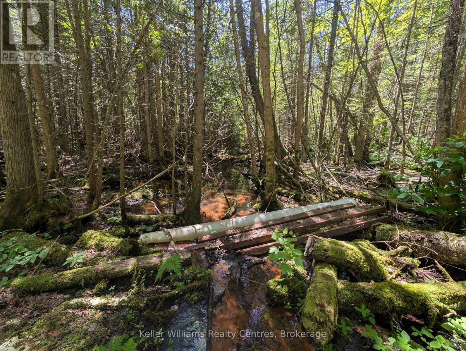 590-608 Huron Road, South Bruce Peninsula, Ontario  N0H 2T0 - Photo 29 - X12247786