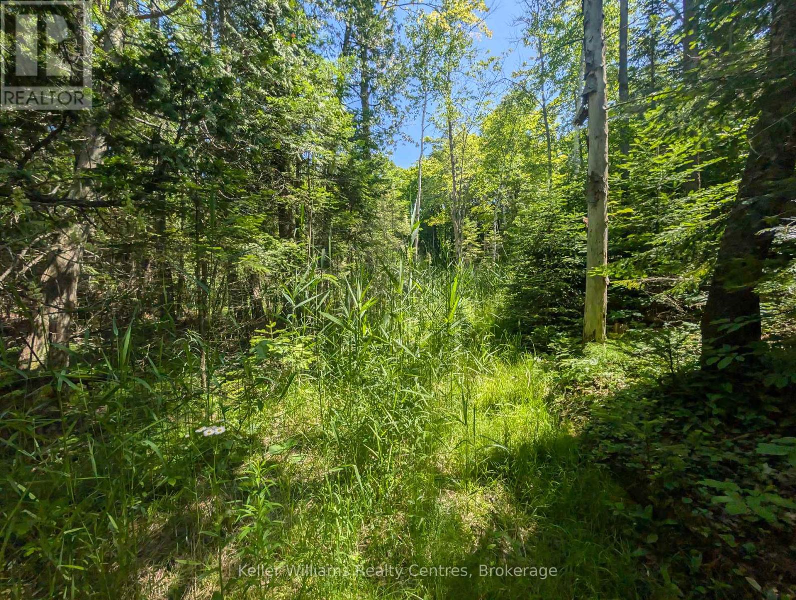 590-608 Huron Road, South Bruce Peninsula, Ontario  N0H 2T0 - Photo 30 - X12247786
