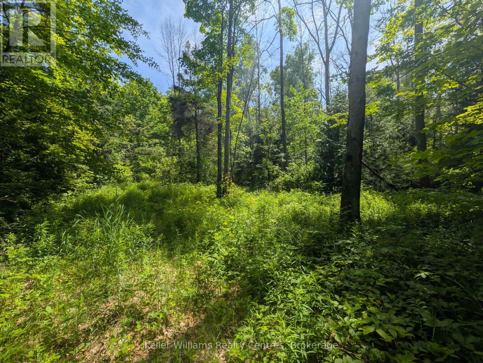 590-608 Huron Road, South Bruce Peninsula, Ontario  N0H 2T0 - Photo 32 - X12247786