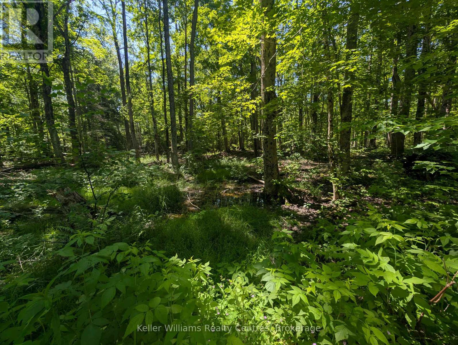 590-608 Huron Road, South Bruce Peninsula, Ontario  N0H 2T0 - Photo 35 - X12247786