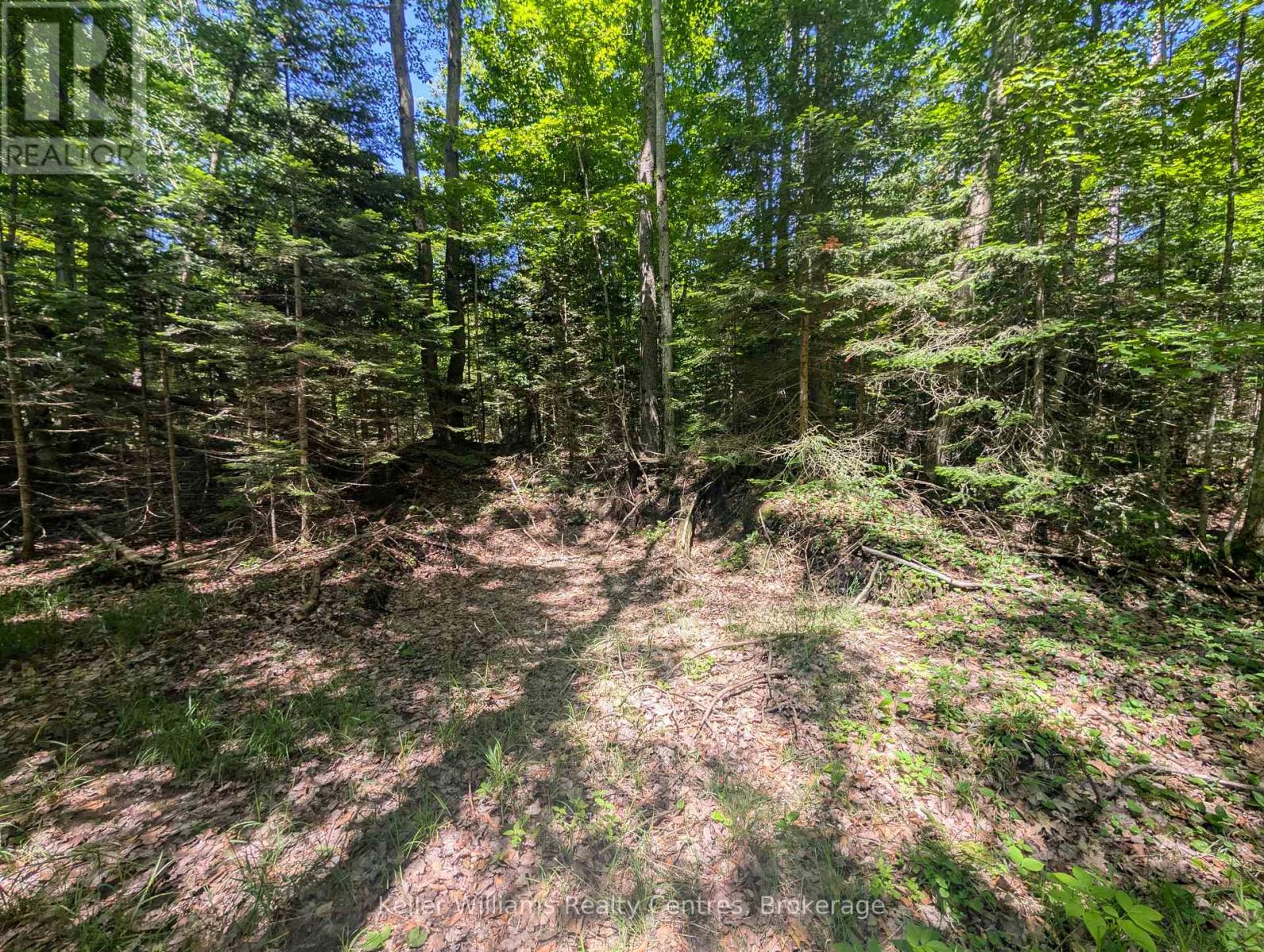 590-608 Huron Road, South Bruce Peninsula, Ontario  N0H 2T0 - Photo 37 - X12247786