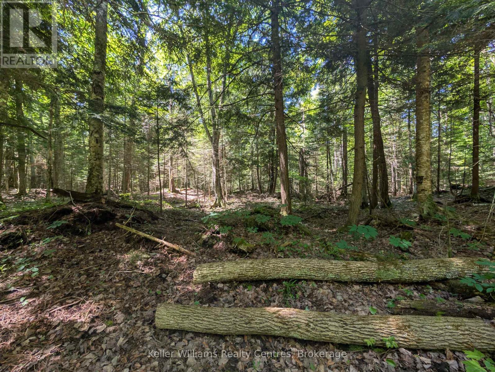 590-608 Huron Road, South Bruce Peninsula, Ontario  N0H 2T0 - Photo 39 - X12247786