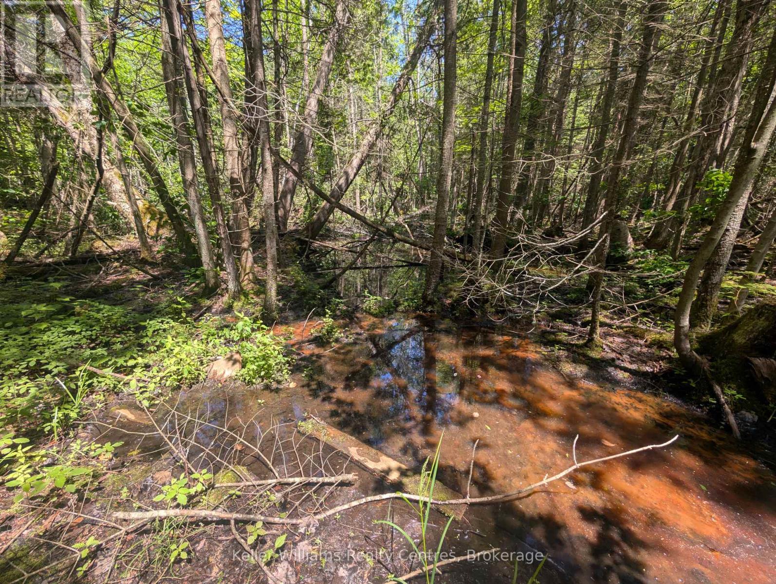 590-608 Huron Road, South Bruce Peninsula, Ontario  N0H 2T0 - Photo 40 - X12247786
