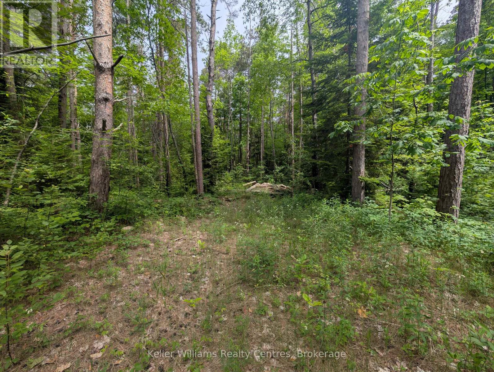590-608 Huron Road, South Bruce Peninsula, Ontario  N0H 2T0 - Photo 42 - X12247786