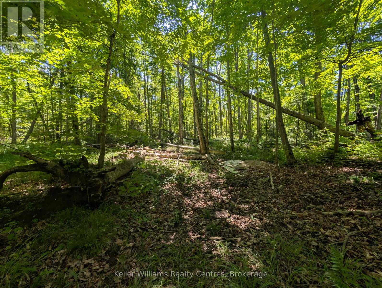 590-608 Huron Road, South Bruce Peninsula, Ontario  N0H 2T0 - Photo 44 - X12247786