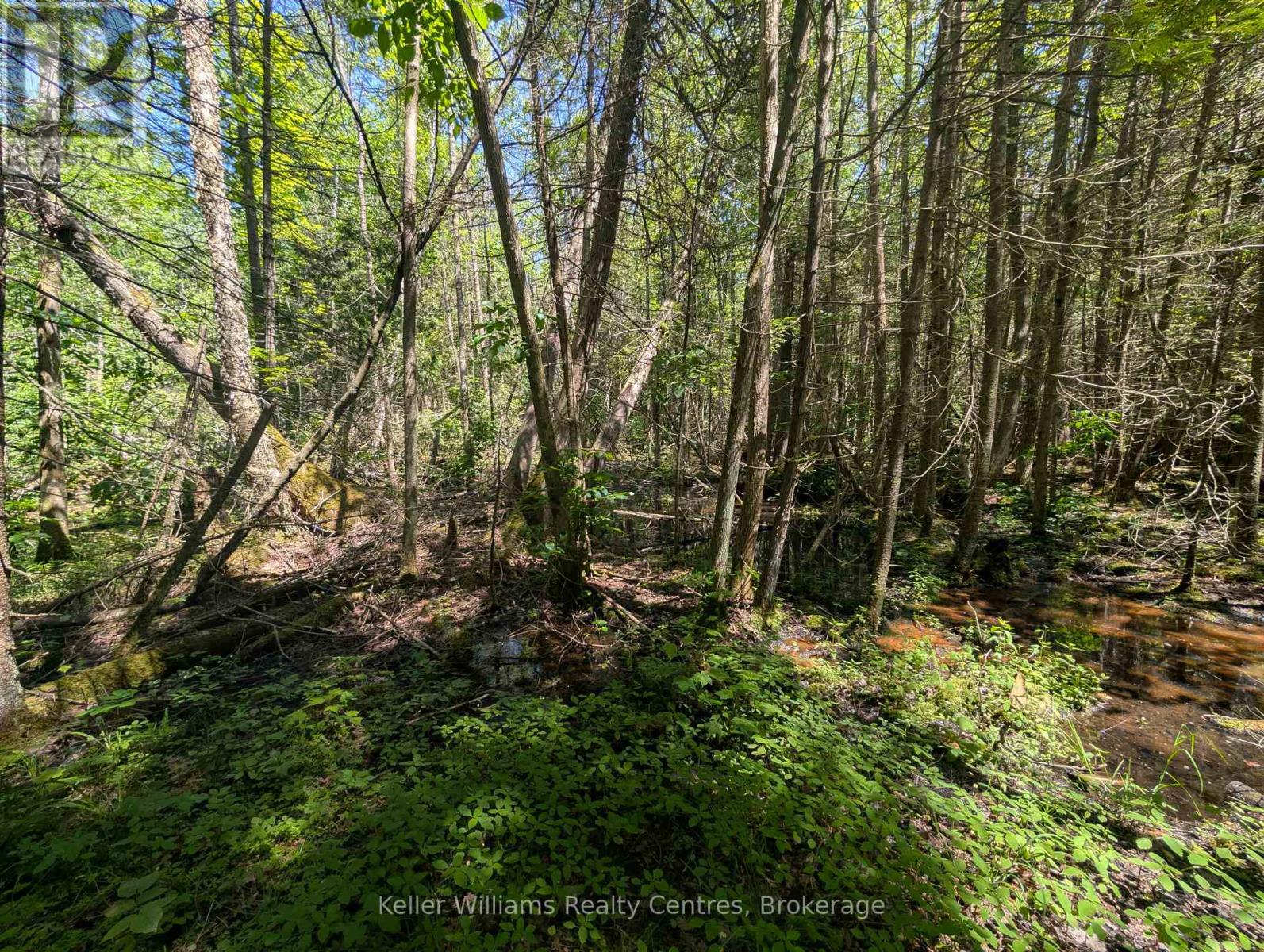 590-608 Huron Road, South Bruce Peninsula, Ontario  N0H 2T0 - Photo 47 - X12247786