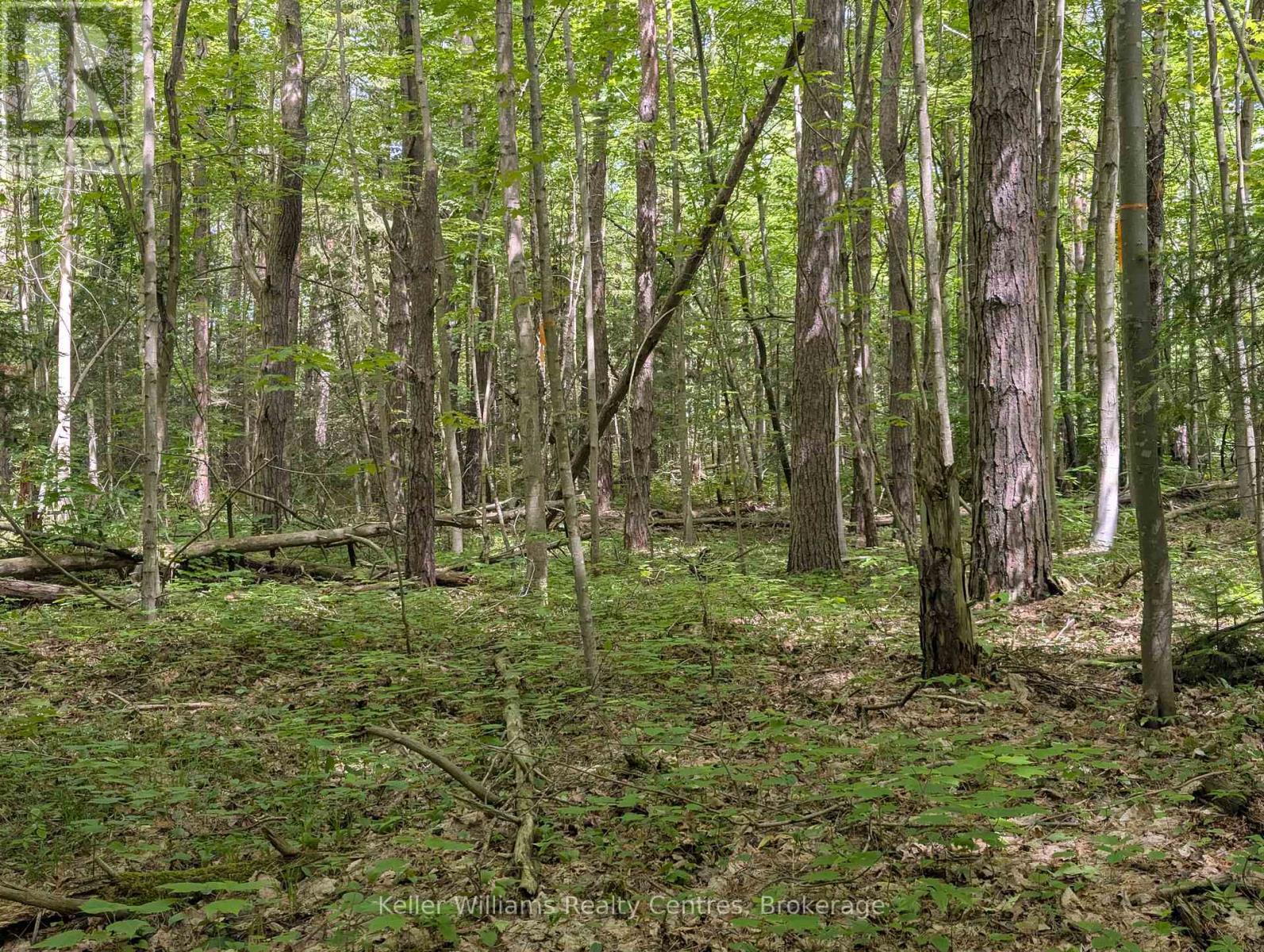 590-608 Huron Road, South Bruce Peninsula, Ontario  N0H 2T0 - Photo 6 - X12247786