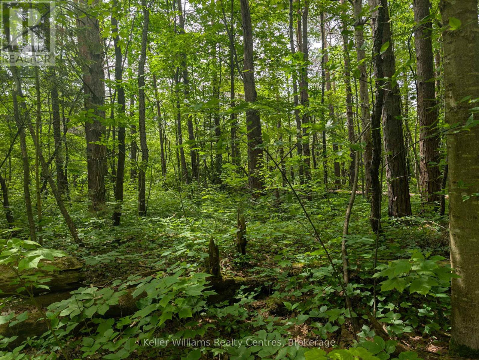 590-608 Huron Road, South Bruce Peninsula, Ontario  N0H 2T0 - Photo 8 - X12247786