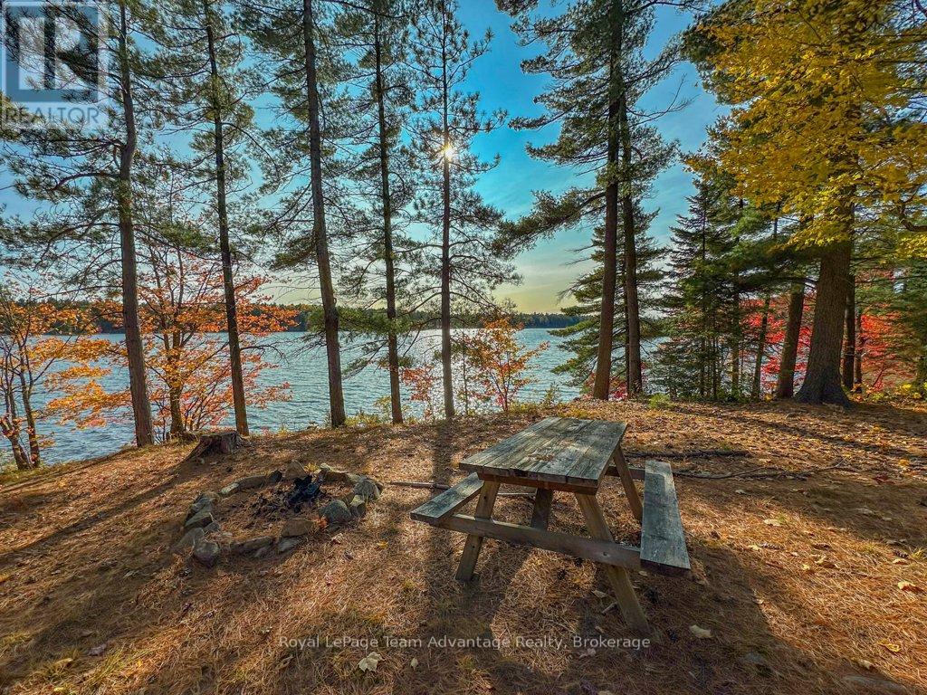 49 Harris Lake W/a, Parry Sound Remote Area, Ontario  P0G 1K0 - Photo 27 - X12247952
