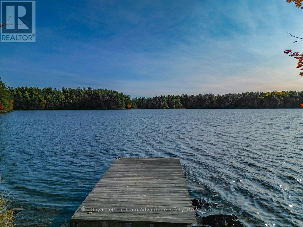 49 Harris Lake W/a, Parry Sound Remote Area, Ontario  P0G 1K0 - Photo 35 - X12247952