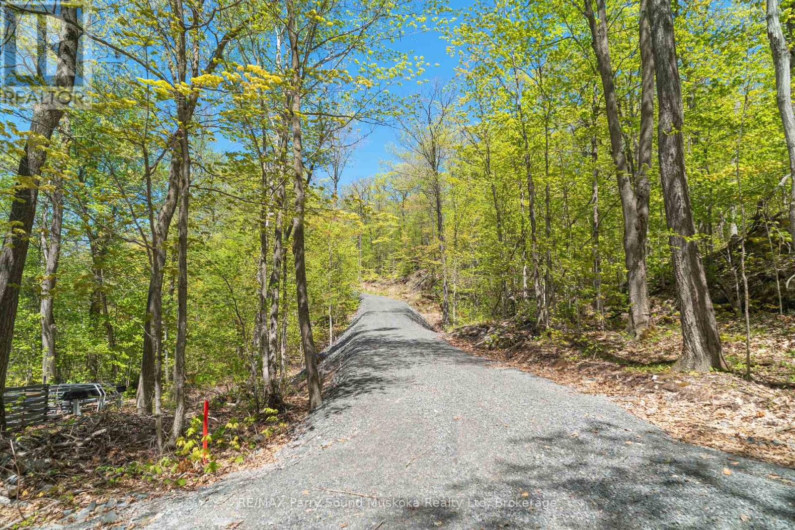 34a Bell Lake Road, Mcdougall, Ontario  P2A 2W7 - Photo 17 - X12248644
