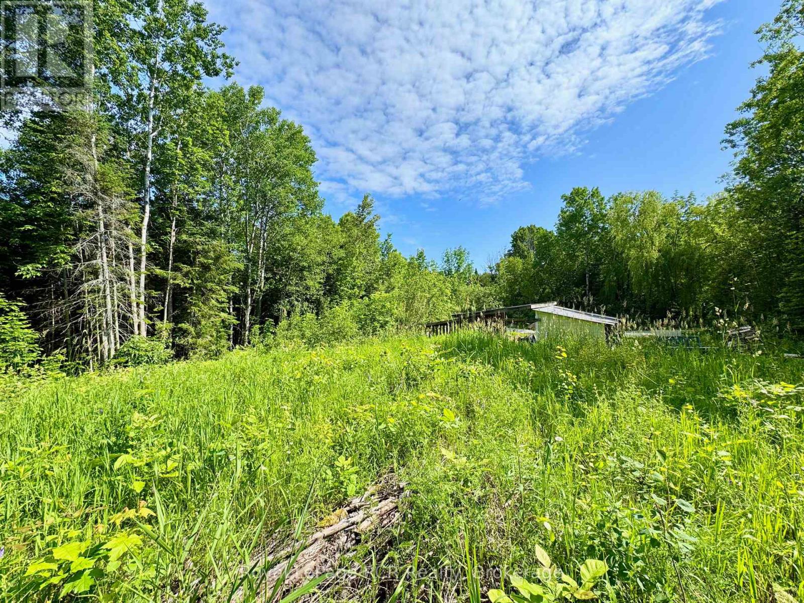 16 Morning Hill Road, South Bruce Peninsula, Ontario  N0H 2T0 - Photo 11 - X12248696