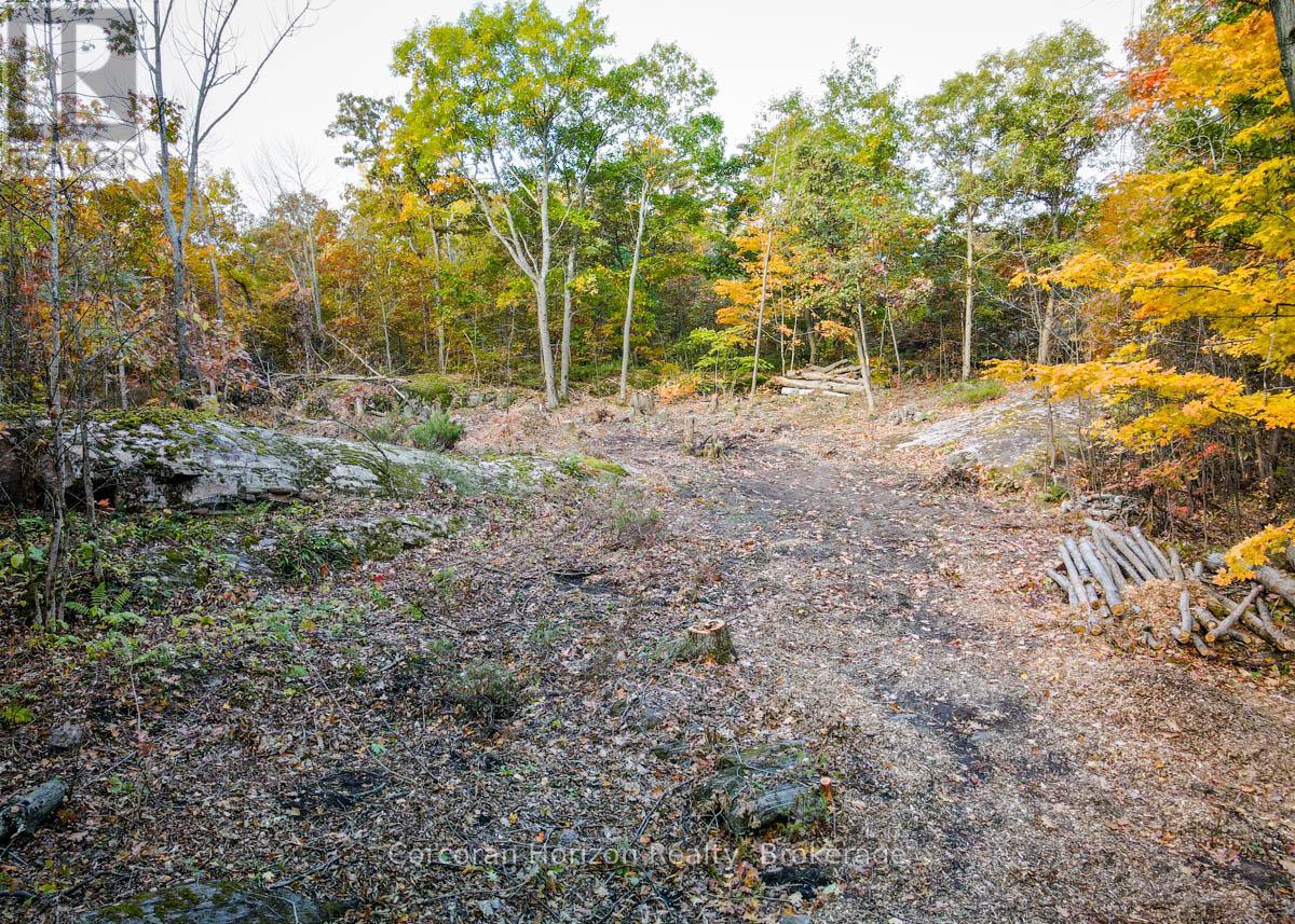 Lot A - 87 Corrievale Rd, Georgian Bay, Ontario  L0K 1S0 - Photo 3 - X12249509