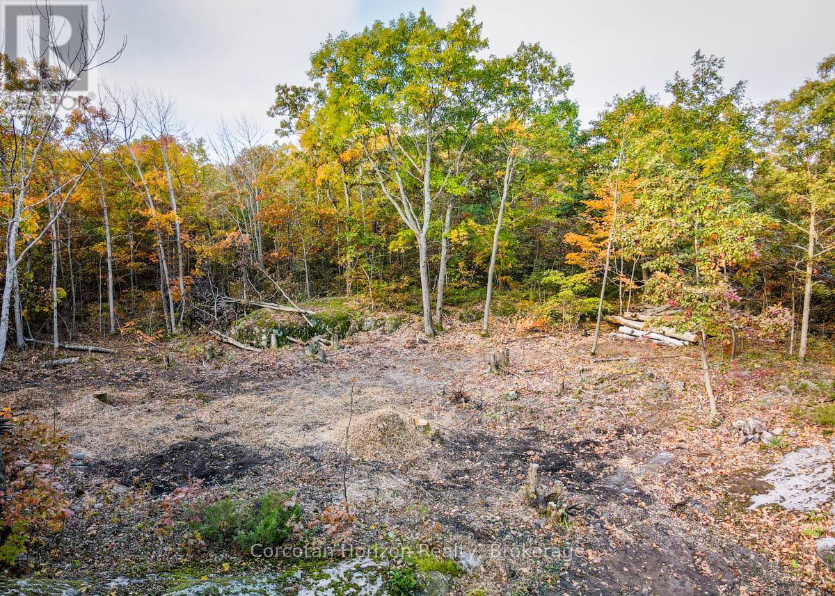 Lot A - 87 Corrievale Rd, Georgian Bay, Ontario  L0K 1S0 - Photo 6 - X12249509