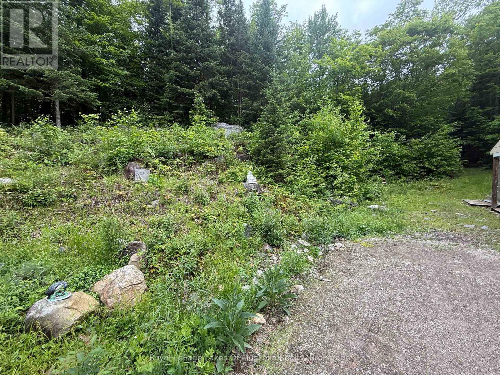 1118 STONEY ROAD, Ryerson, Ontario