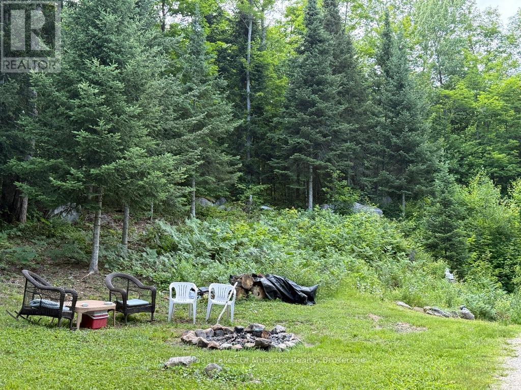 1118 Stoney Road, Ryerson, Ontario  P0A 1C0 - Photo 4 - X12249597