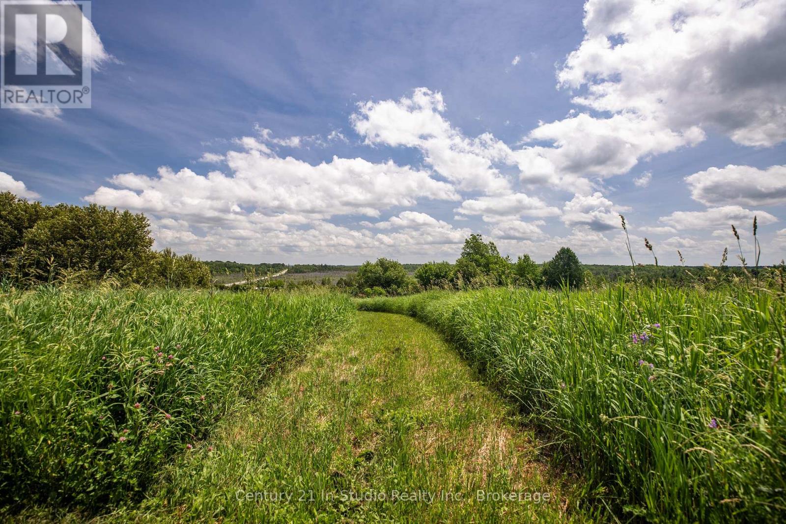 775678 Highway 10, Chatsworth, Ontario  N0C 1H0 - Photo 38 - X12249928