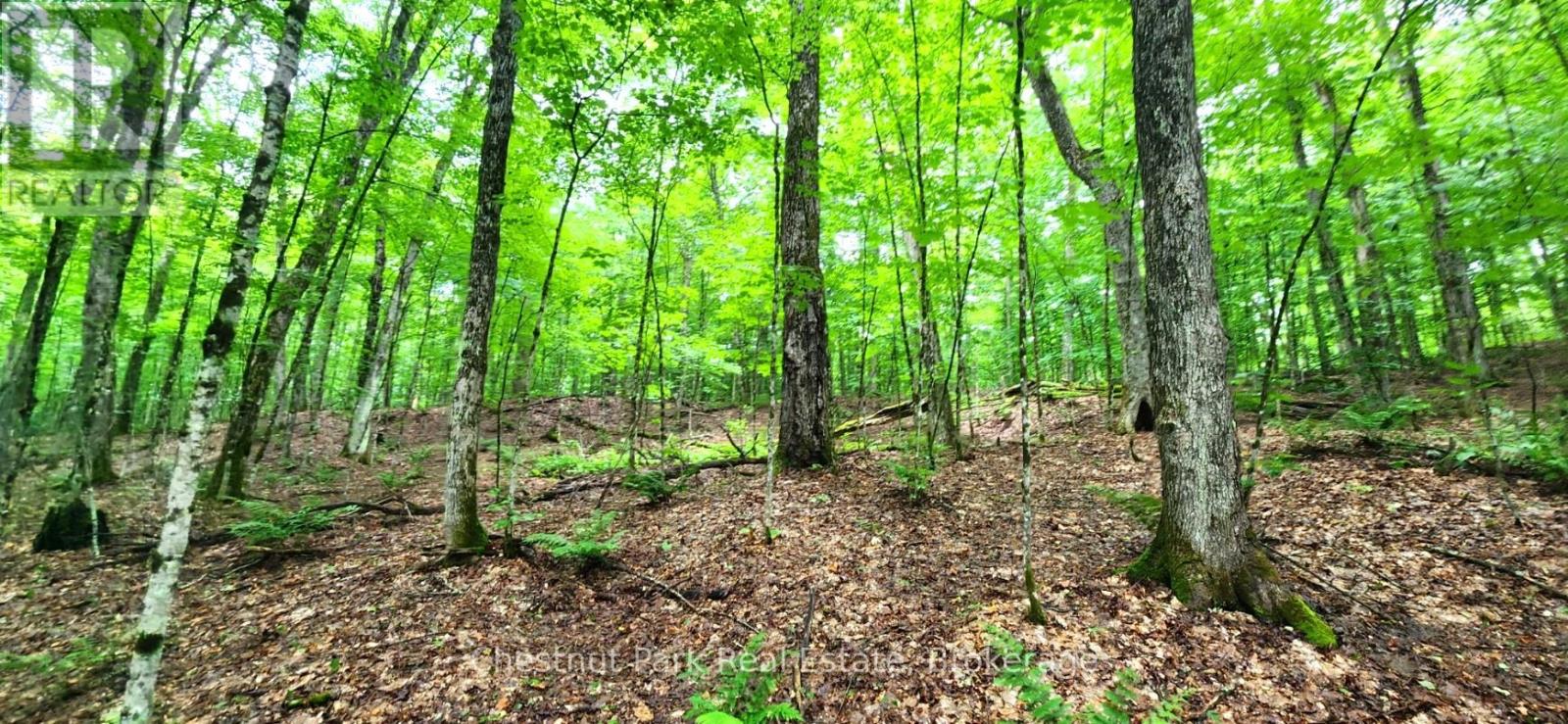269 Old Muskoka Road S, Machar, Ontario  P0A 1H0 - Photo 44 - X12249952