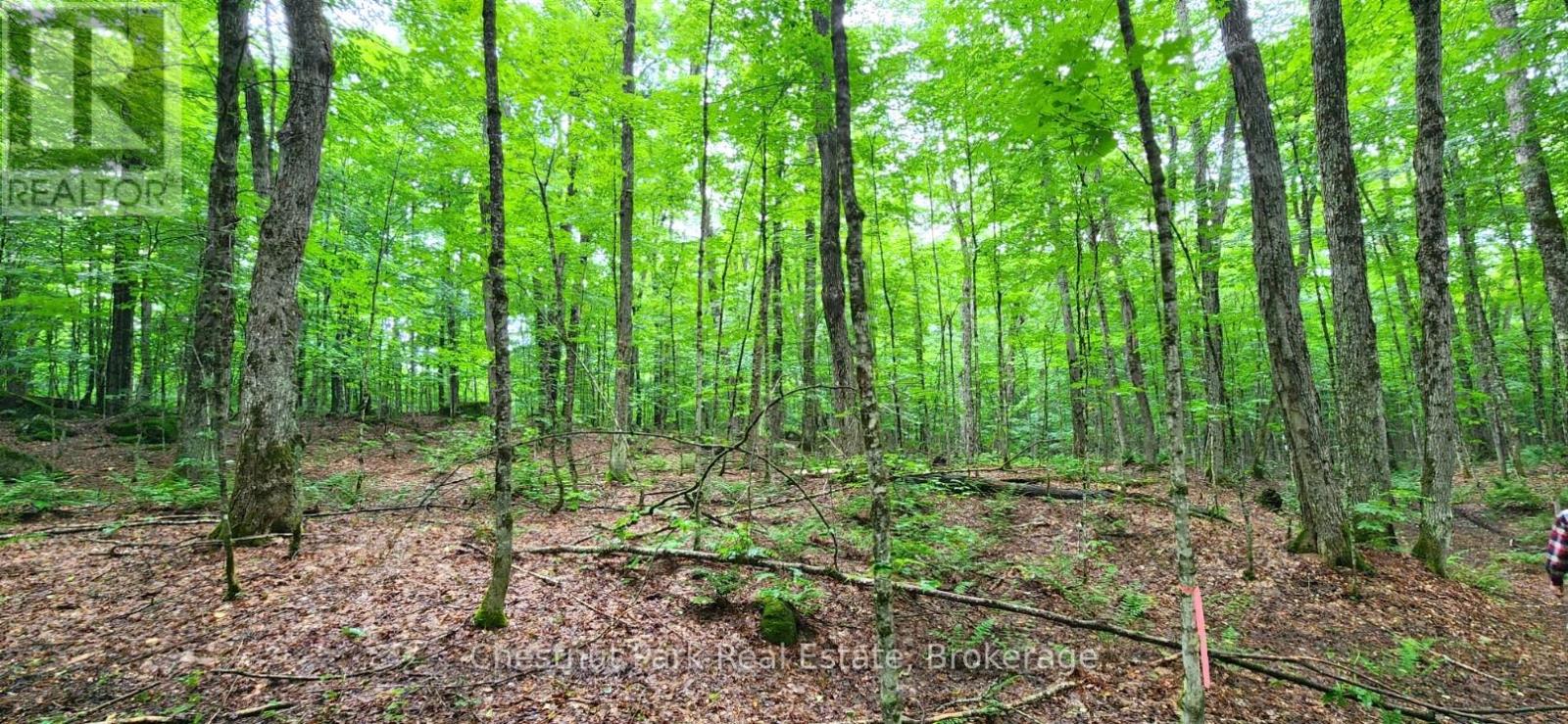 269 Old Muskoka Road S, Machar, Ontario  P0A 1H0 - Photo 45 - X12249952