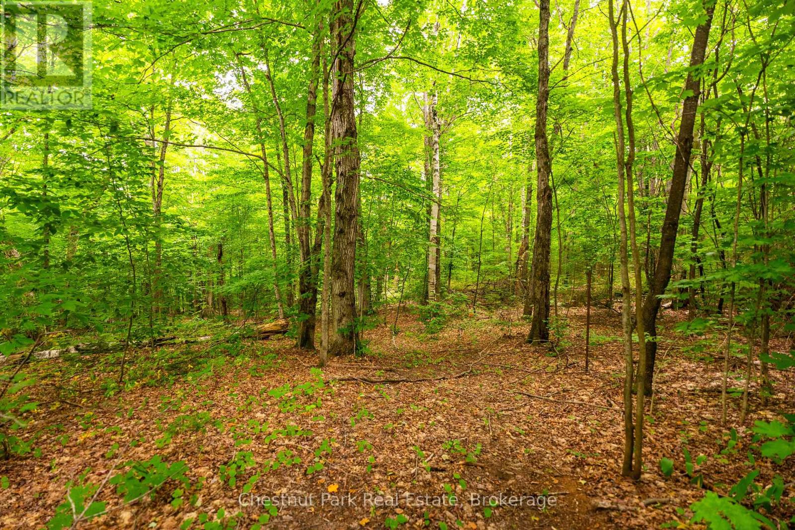 269 Old Muskoka Road S, Machar, Ontario  P0A 1H0 - Photo 47 - X12249952