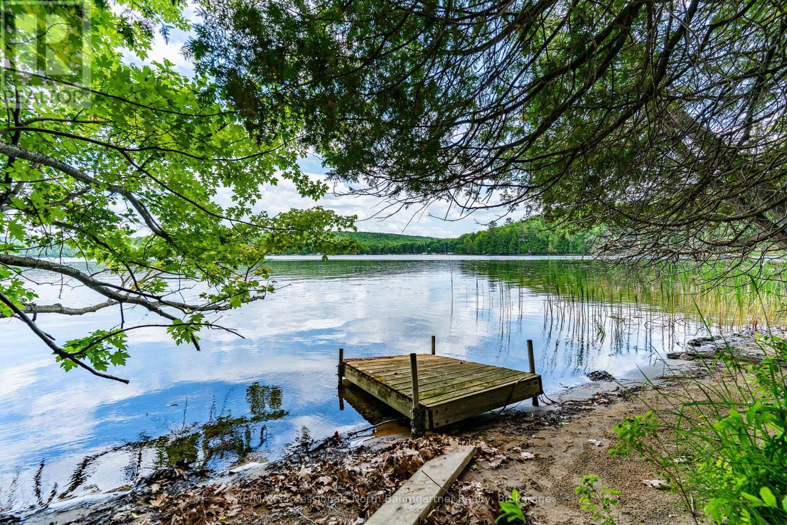 1230 North Shore Road, Algonquin Highlands, Ontario  K0M 1S0 - Photo 5 - X12250094
