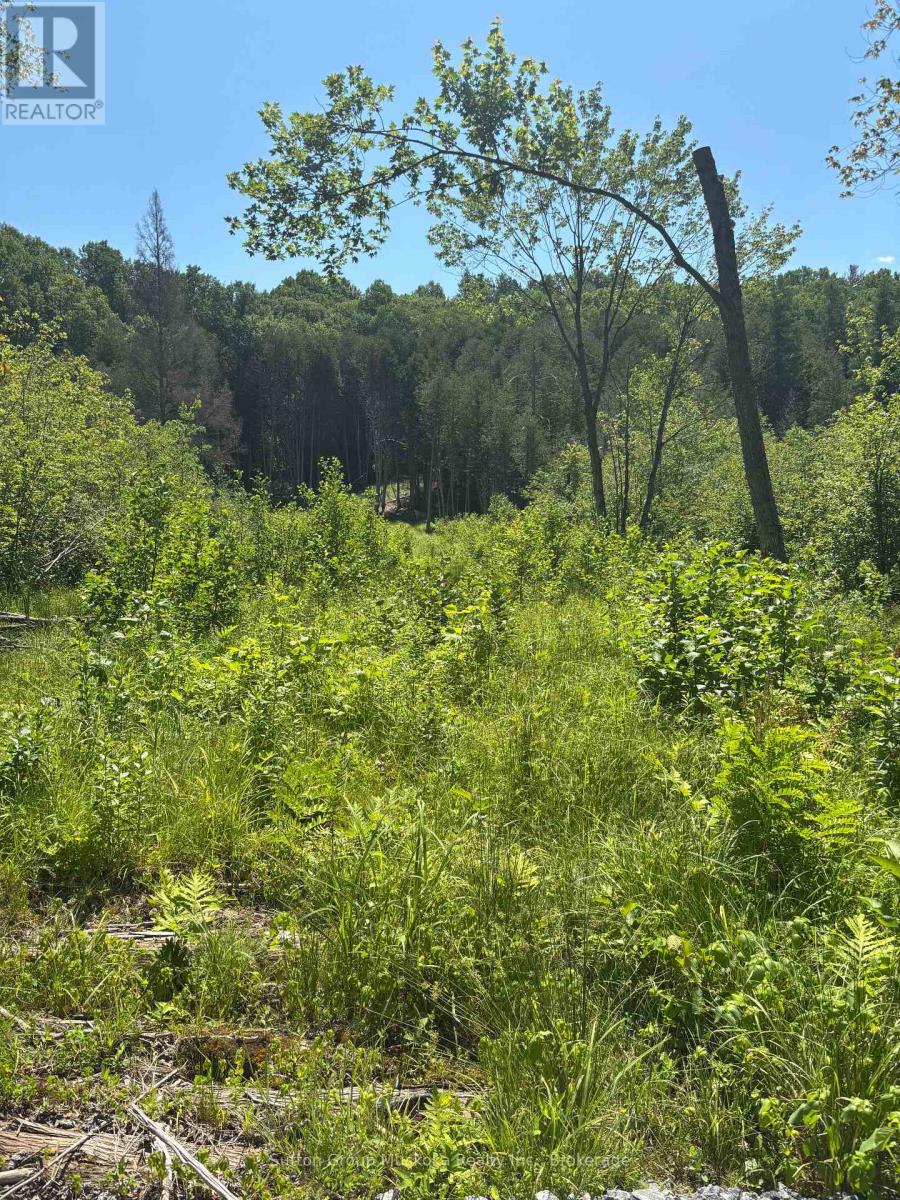 0 Rosseau Lake Rd. 1 Road, Muskoka Lakes, Ontario  P0B 1M0 - Photo 2 - X12250641