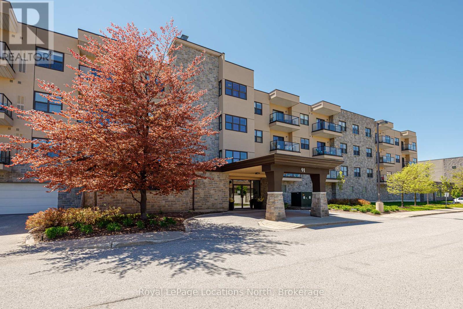 217 - 91 Raglan Street, Collingwood, Ontario  L9Y 0B2 - Photo 2 - S12250759
