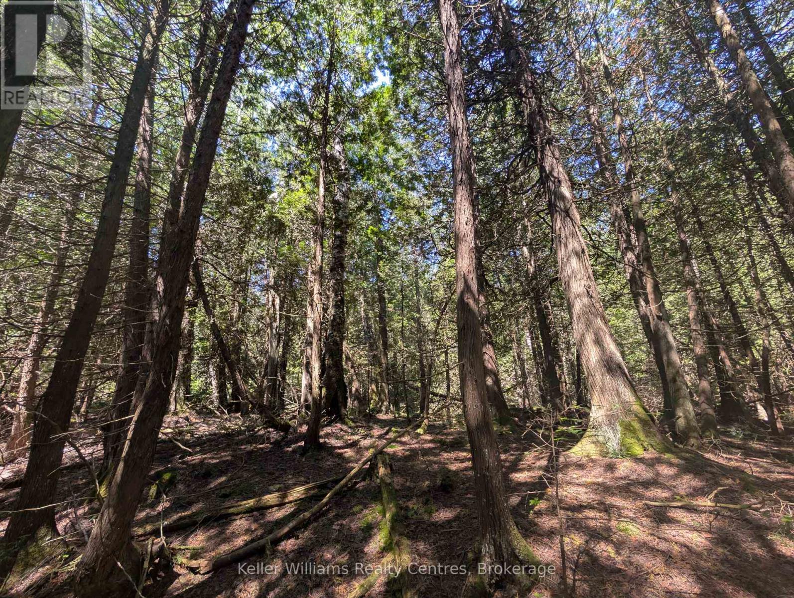 Pt Lt 56 Con 4 Cape Hurd Road, Northern Bruce Peninsula, Ontario  N0H 2R0 - Photo 12 - X12250745