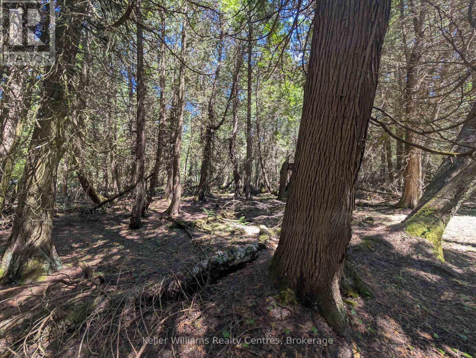 Pt Lt 56 Con 4 Cape Hurd Road, Northern Bruce Peninsula, Ontario  N0H 2R0 - Photo 14 - X12250745