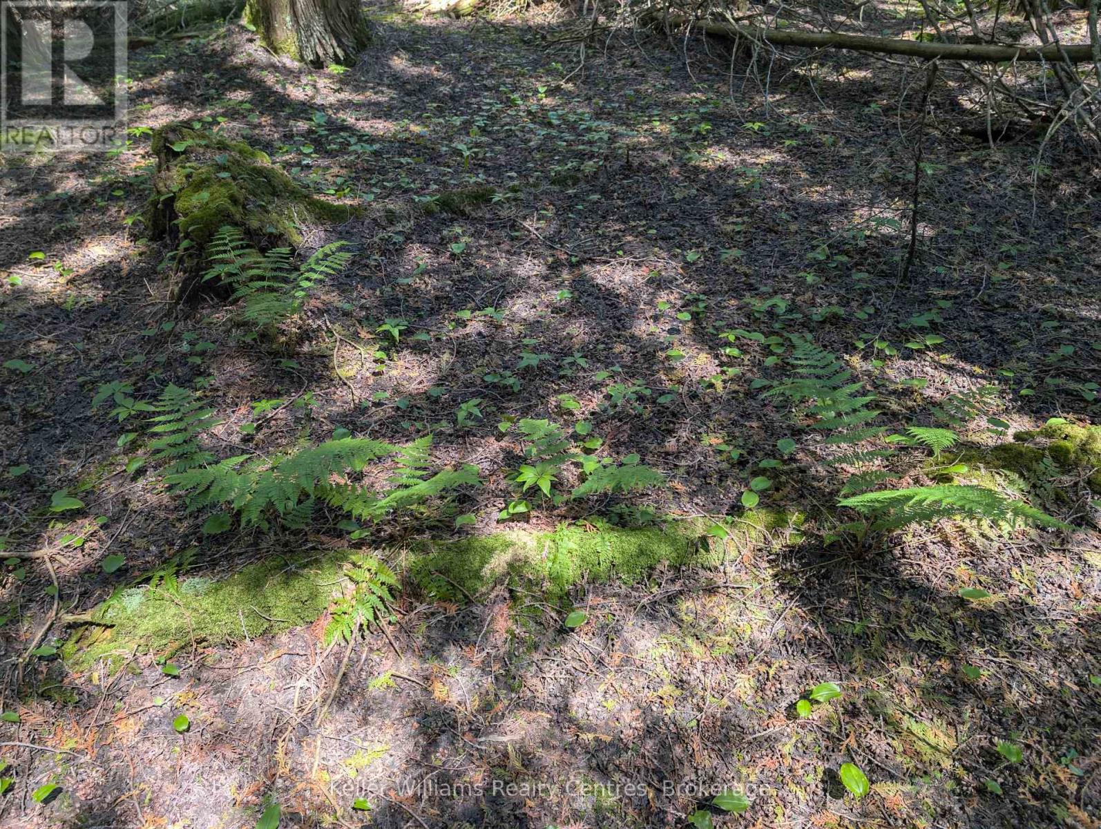 Pt Lt 56 Con 4 Cape Hurd Road, Northern Bruce Peninsula, Ontario  N0H 2R0 - Photo 15 - X12250745