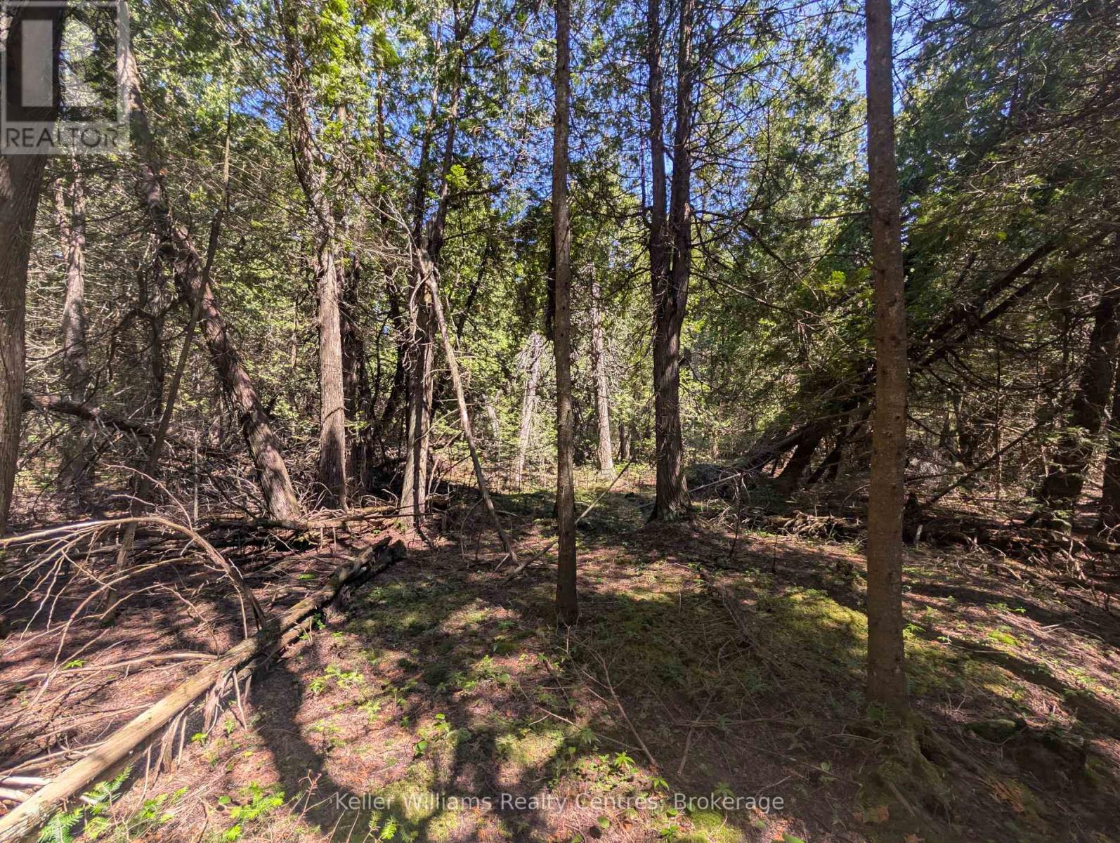 Pt Lt 56 Con 4 Cape Hurd Road, Northern Bruce Peninsula, Ontario  N0H 2R0 - Photo 16 - X12250745