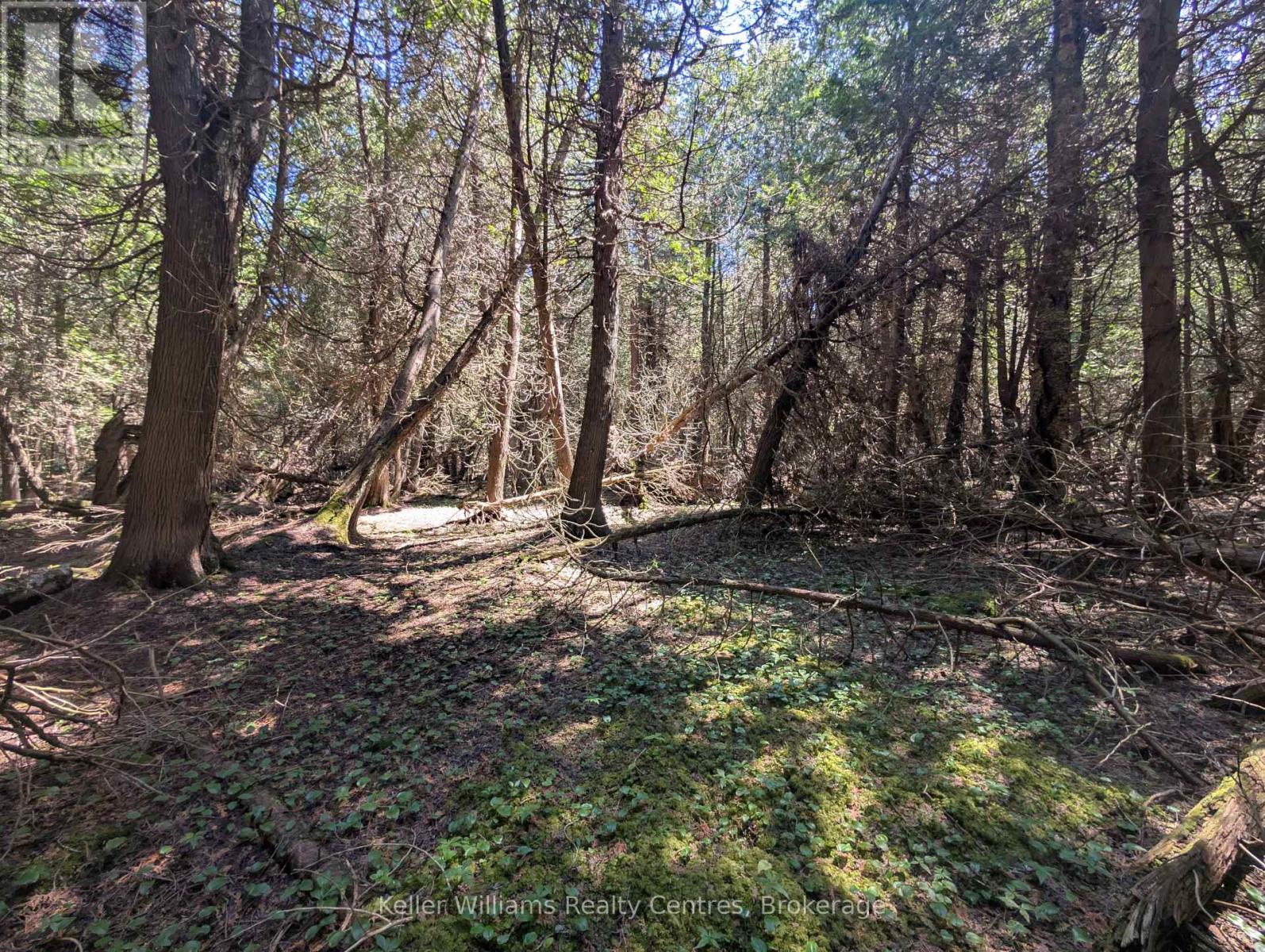 Pt Lt 56 Con 4 Cape Hurd Road, Northern Bruce Peninsula, Ontario  N0H 2R0 - Photo 19 - X12250745