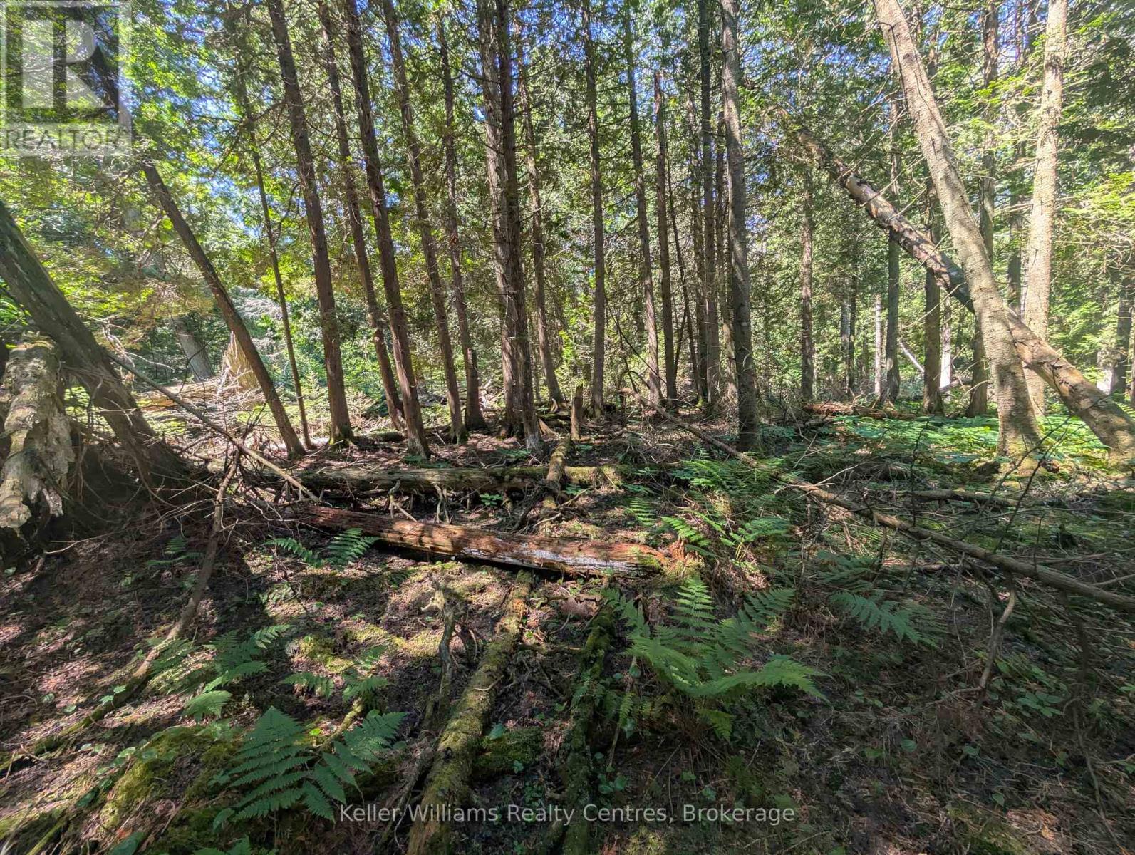Pt Lt 56 Con 4 Cape Hurd Road, Northern Bruce Peninsula, Ontario  N0H 2R0 - Photo 21 - X12250745