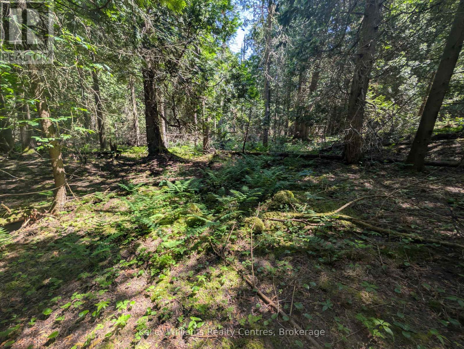 Pt Lt 56 Con 4 Cape Hurd Road, Northern Bruce Peninsula, Ontario  N0H 2R0 - Photo 23 - X12250745