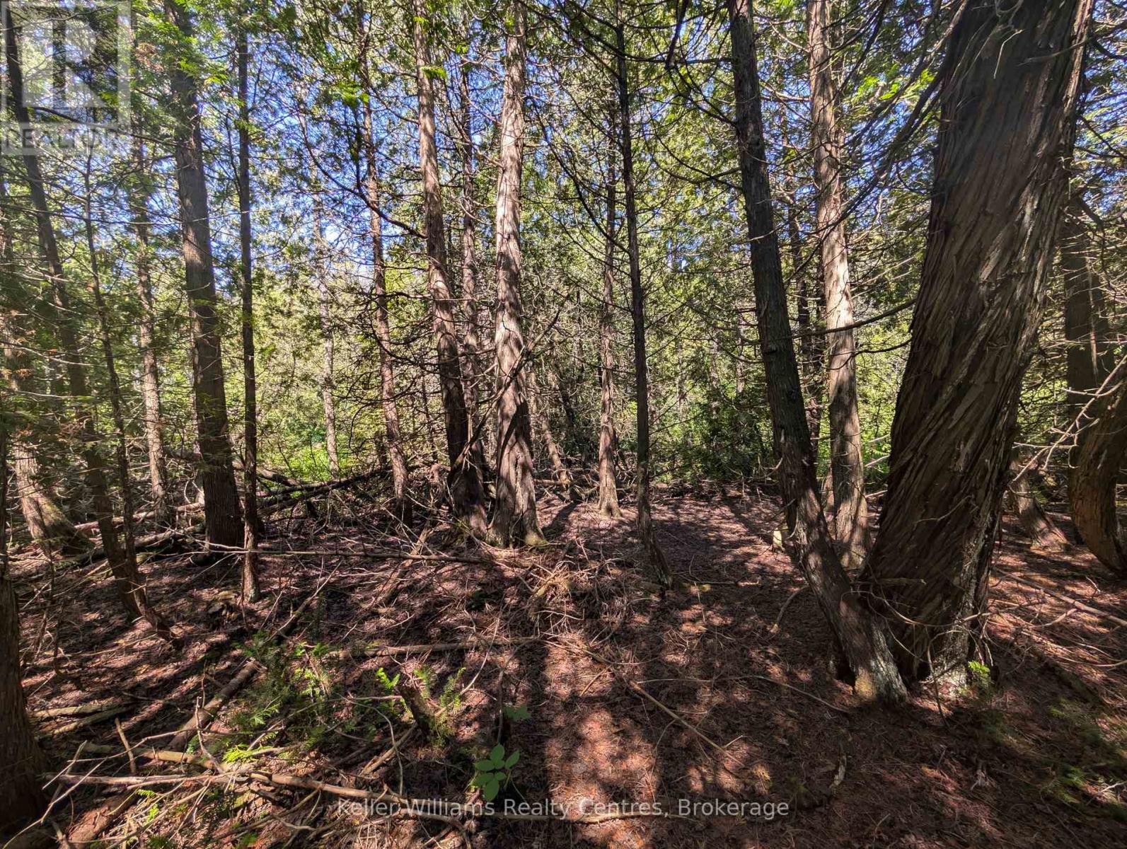 Pt Lt 56 Con 4 Cape Hurd Road, Northern Bruce Peninsula, Ontario  N0H 2R0 - Photo 26 - X12250745